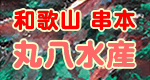 �۔����Y