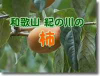 �I�m��̊`