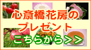 �S�֋��Ԗ[�̃v���[���g