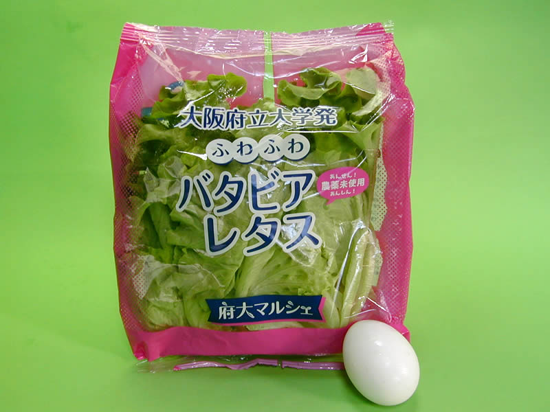 府大マルシェ 工場レタス