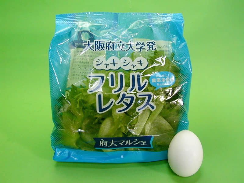 府大マルシェ 工場レタス