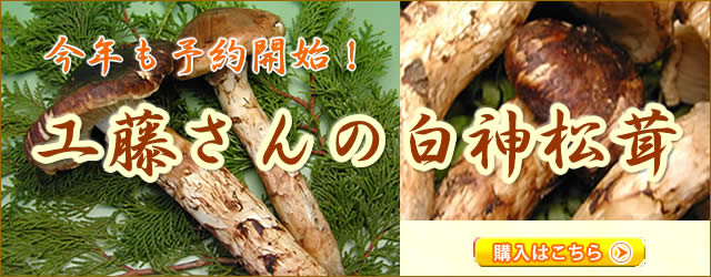 白神工藤さんの松茸