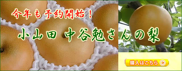 小山田中谷農園の梨