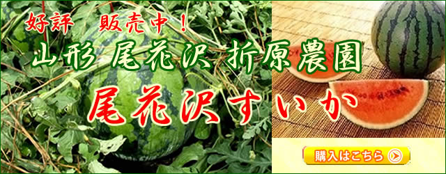 折原農園の尾花沢すいか