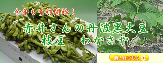 赤井さんの若さや