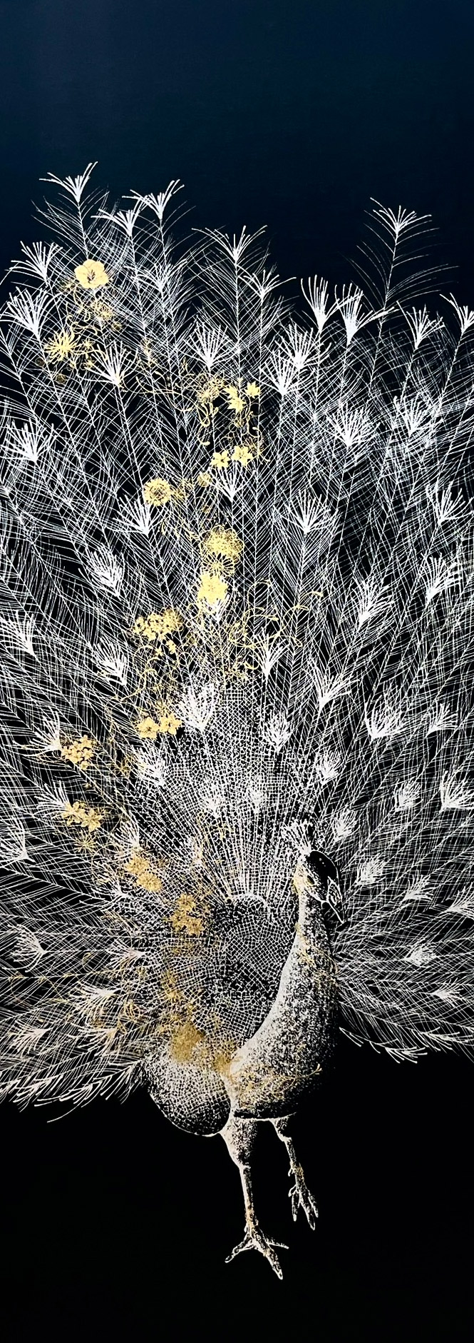 本金箔押掛軸 孔雀美麗