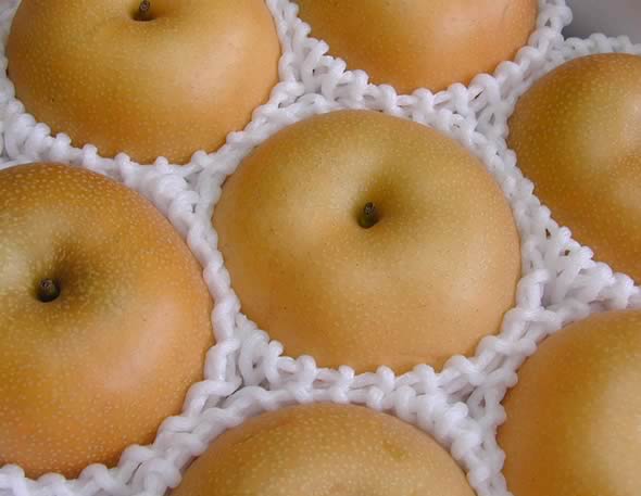 梨 愛甘水