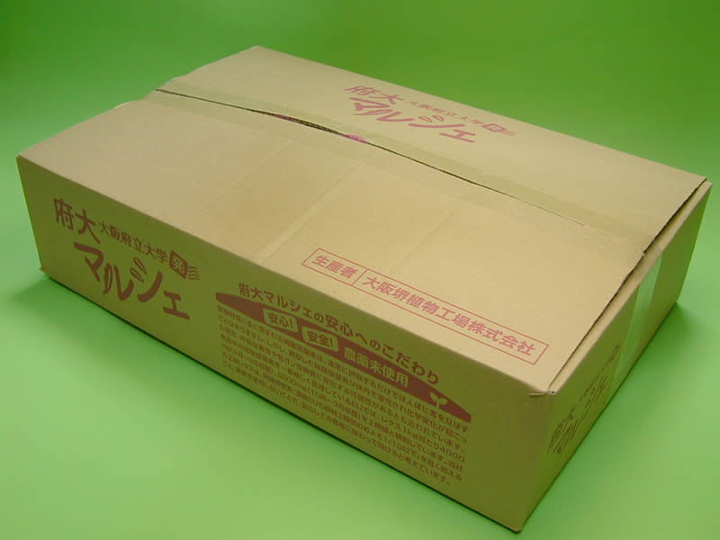 府大マルシェ 工場レタス