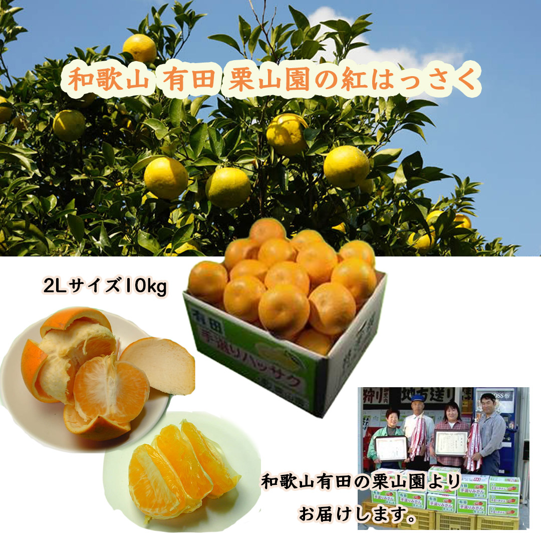 栗山園の紅はっさく