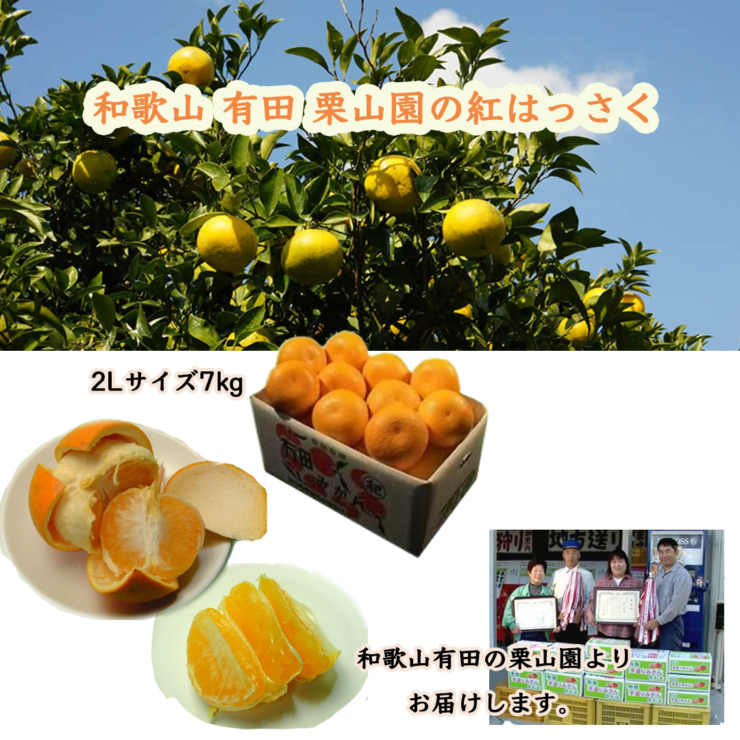 栗山園の紅はっさく