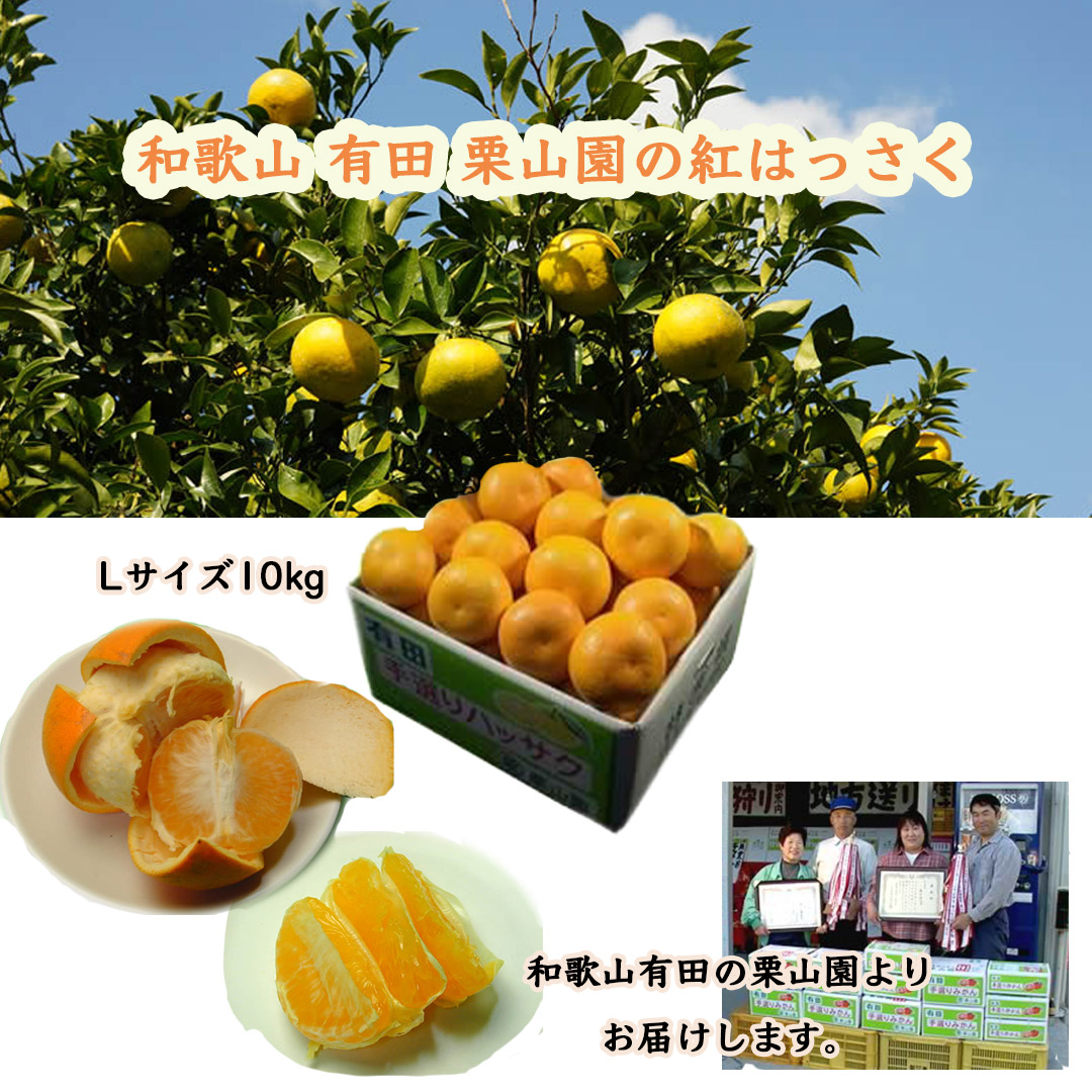 栗山園の紅はっさく