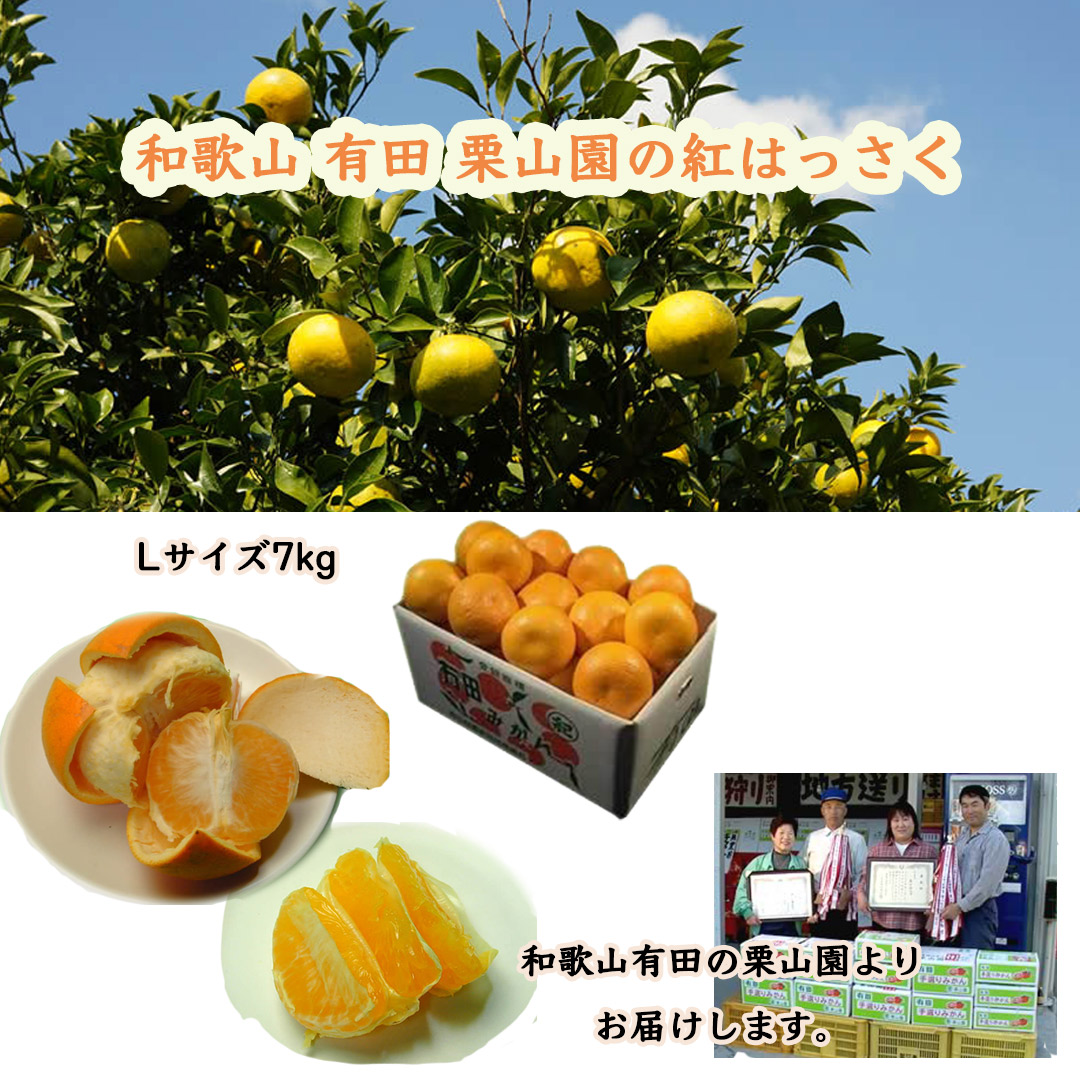 栗山園の紅はっさく