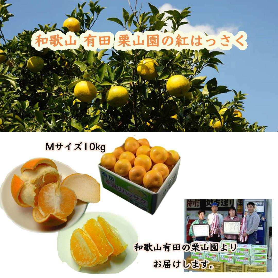 栗山園の紅はっさく