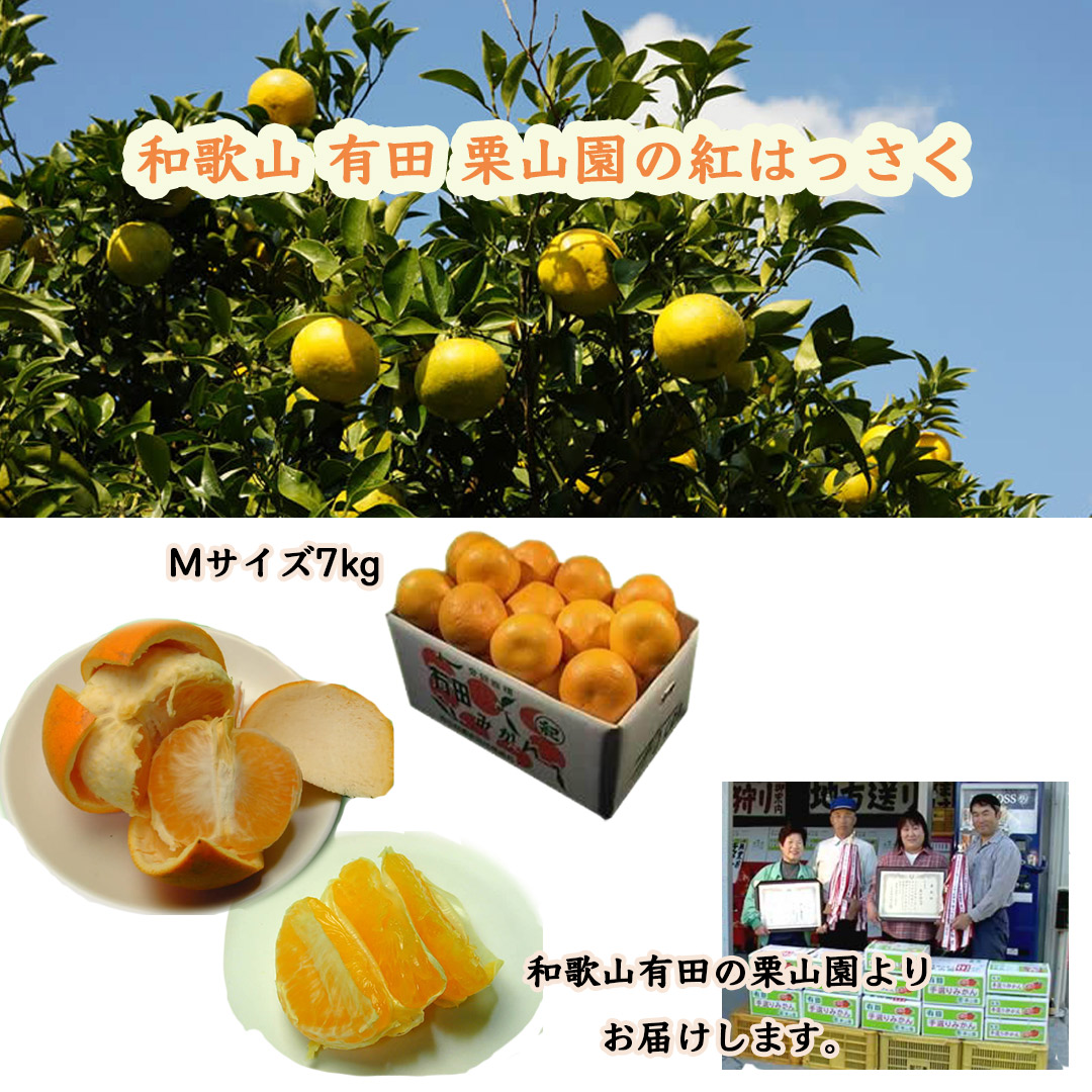 栗山園の紅はっさく