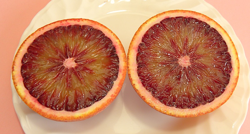 宇和島柑橘ソムリエのブラッドオレンジ（モロ）