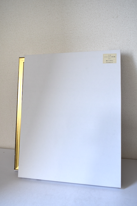 超世代KAKEJIKUシリｰズ　 東宝公式ライセンス商品　 メカゴジラ　額装