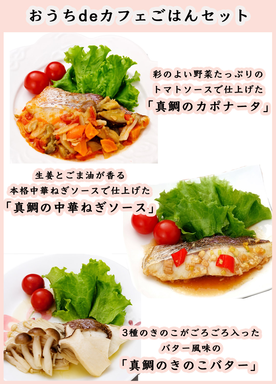 愛媛宇和島蒋淵こもねっと