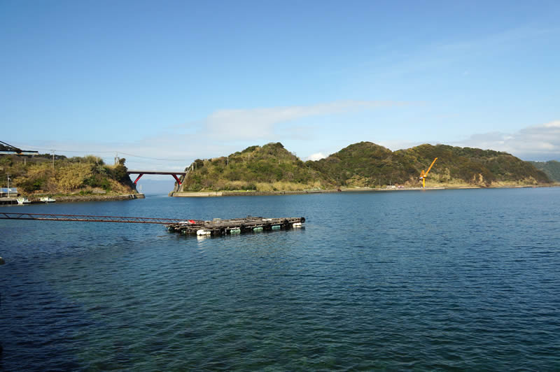 愛媛宇和島蒋淵 お魚レストランこもねっと