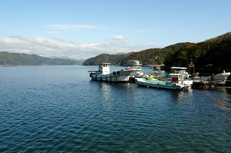 愛媛宇和島蔣淵 こもねっと