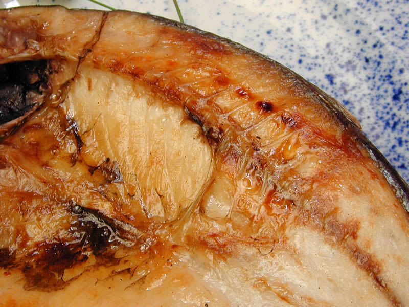 愛媛宇和島蒋淵こもねっと