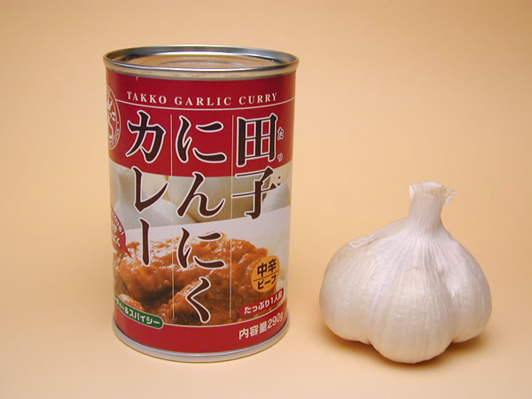 田子にんにくカレー