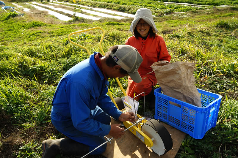 里山てるてるファームもち麦種まき作業