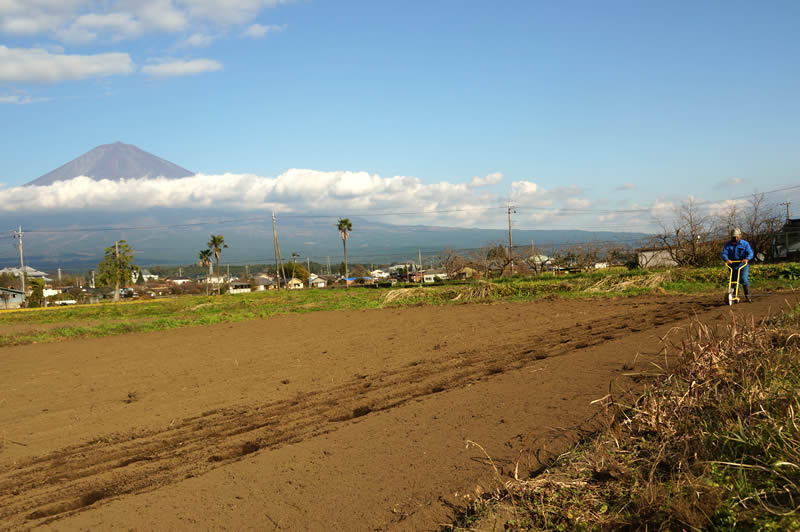 里山てるてるファームもち麦種まき作業
