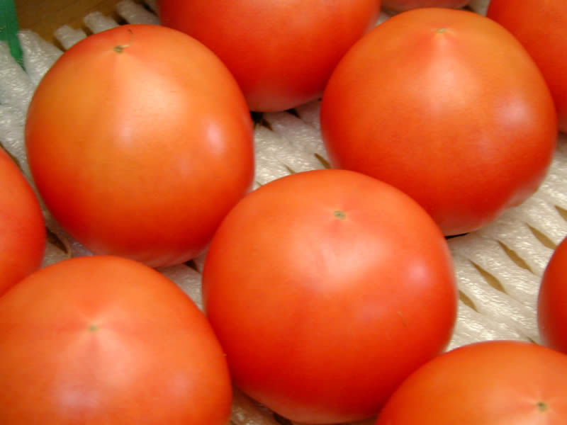 泉南ファームフルーツトマト