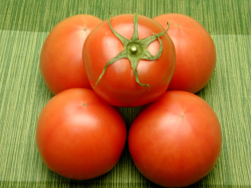 泉南ファームフルーツトマト