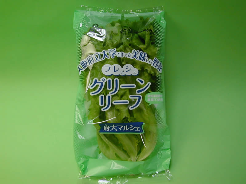 大阪府立大学工場レタス