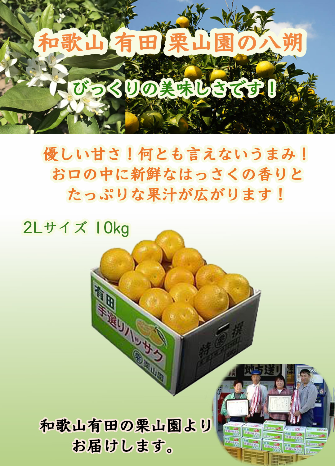 栗山園の八朔(はっさく)