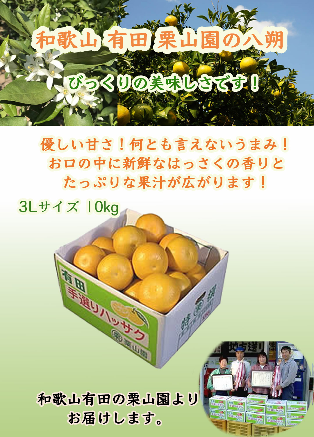 栗山園の八朔（はっさく）