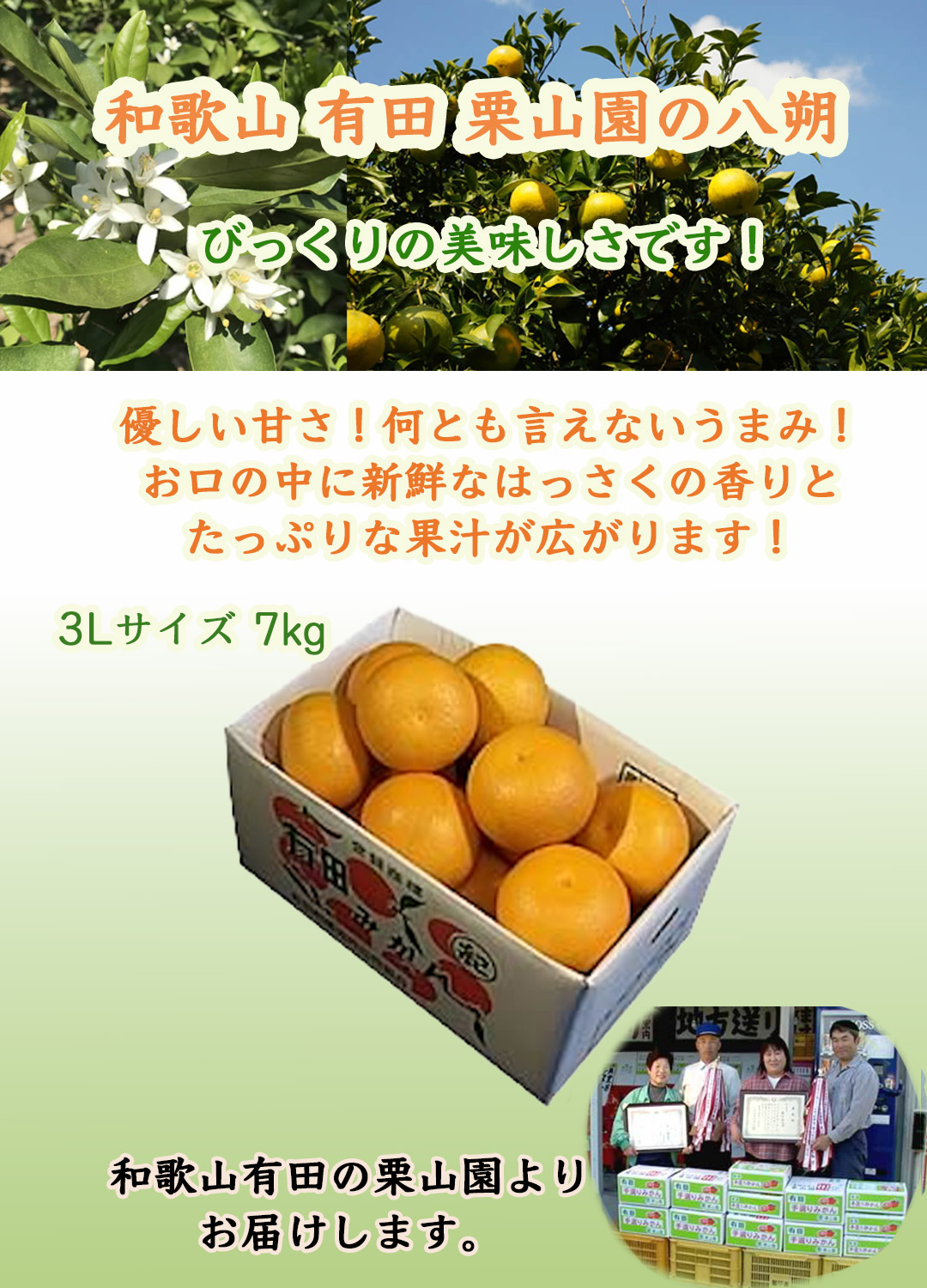 栗山園の八朔（はっさく）