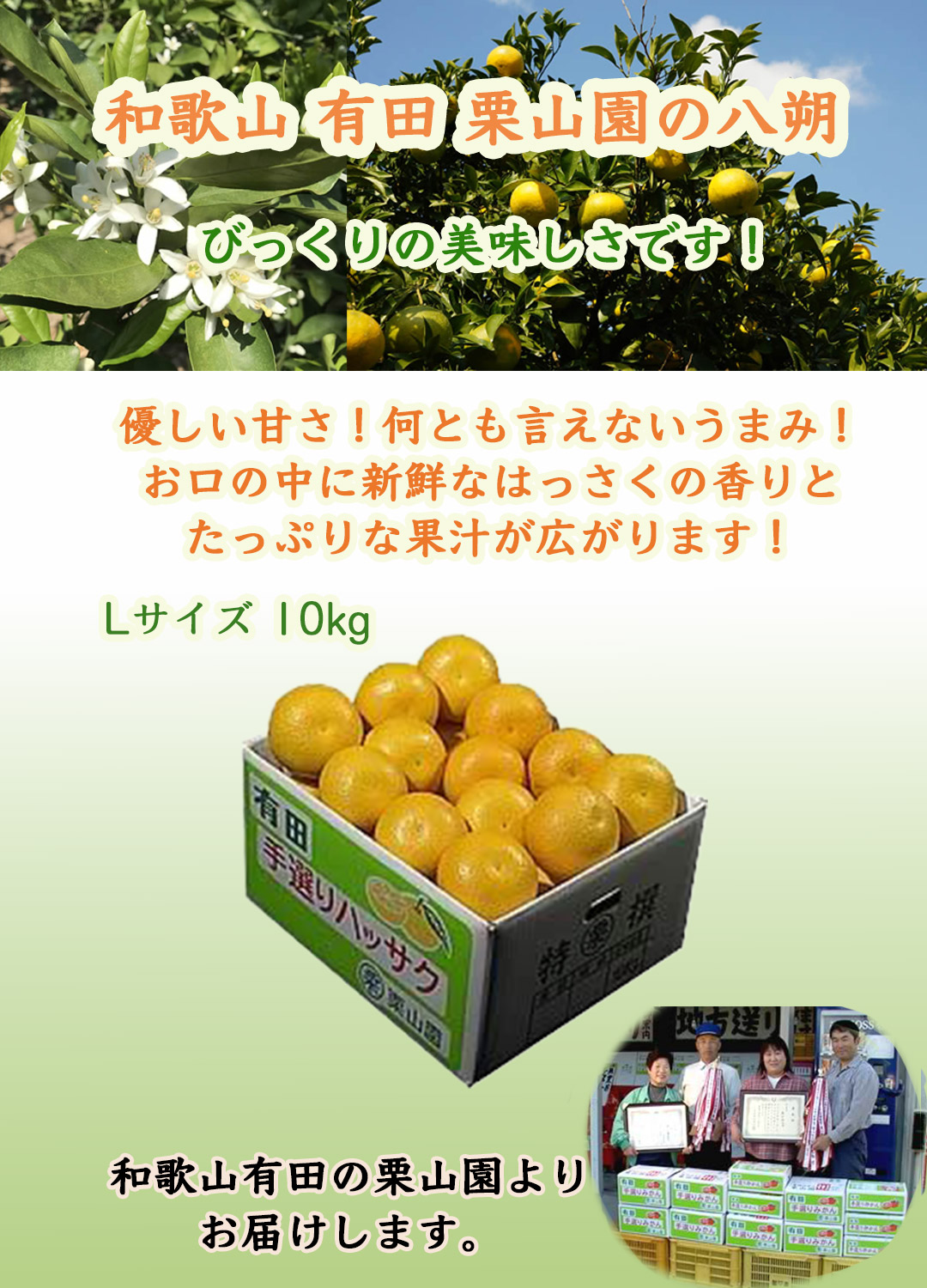 栗山園の八朔（はっさく）