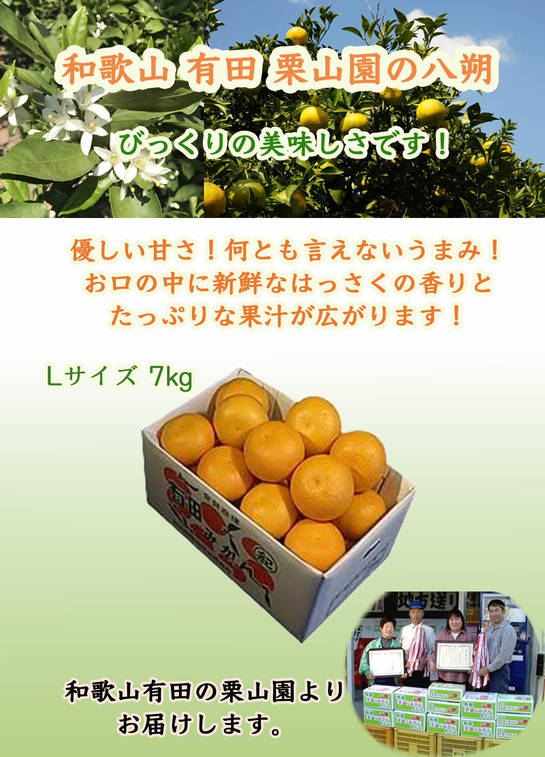 栗山園の八朔（はっさく）