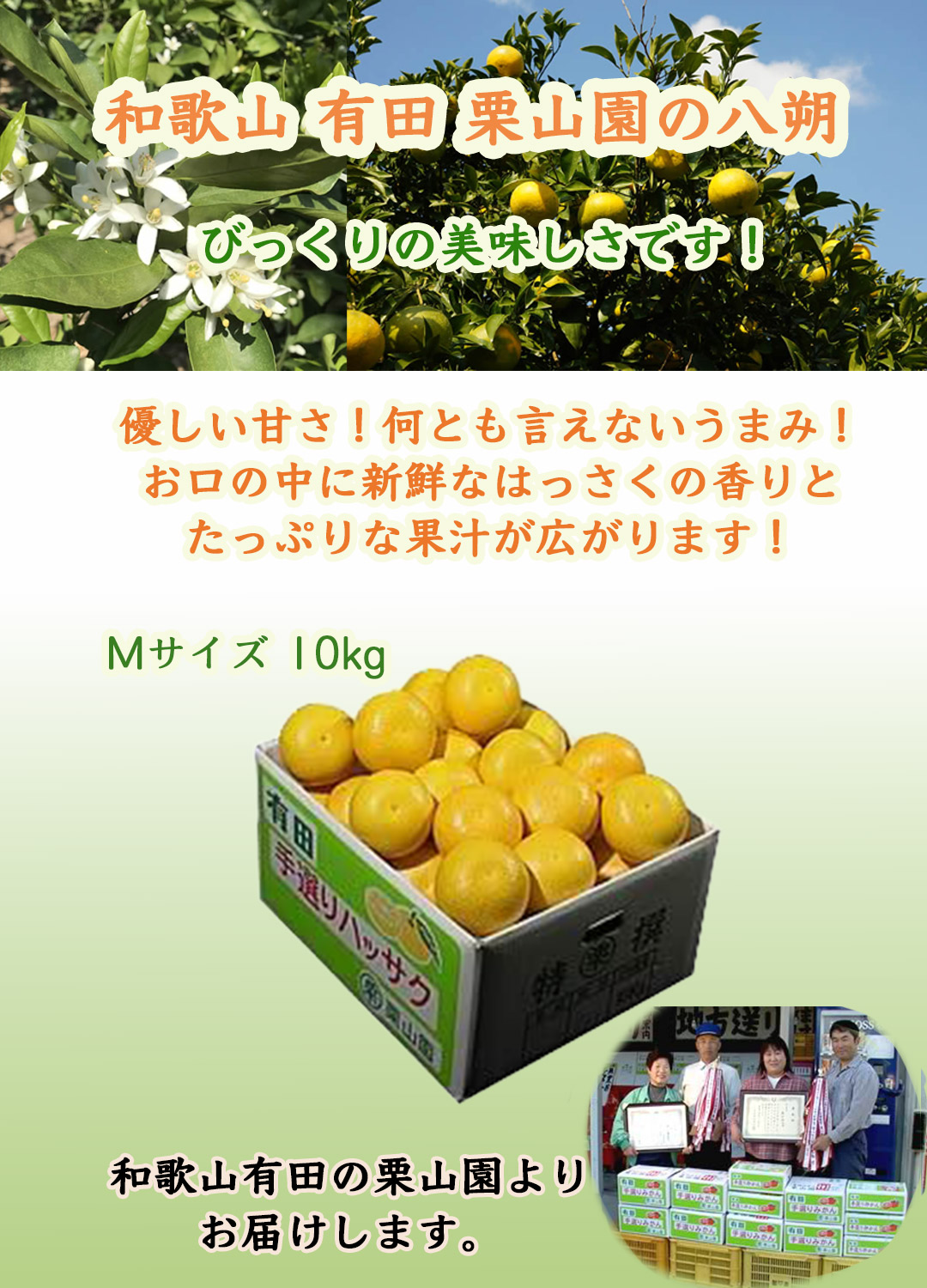 栗山園の八朔（はっさく）