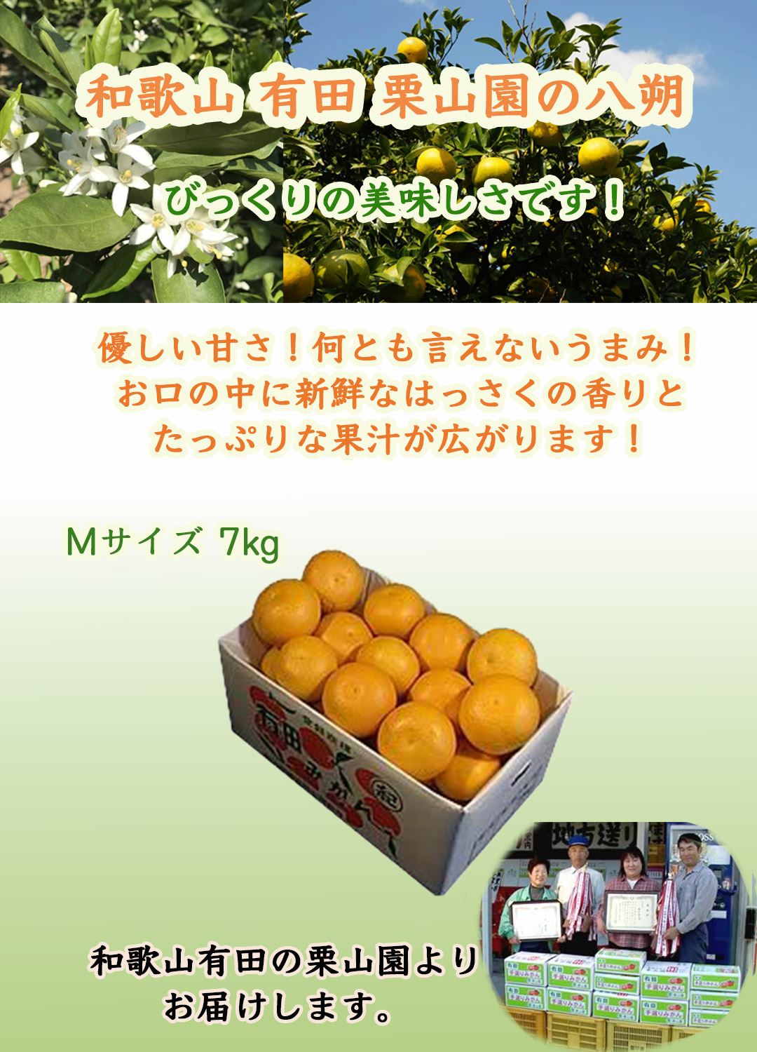 栗山園の八朔（はっさく）