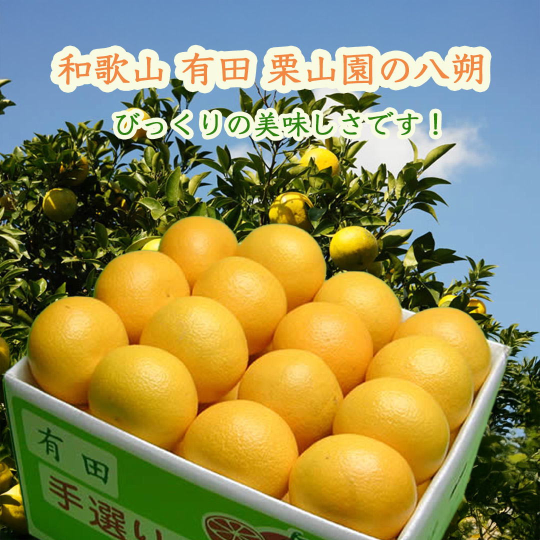 栗山園の八朔（はっさく）