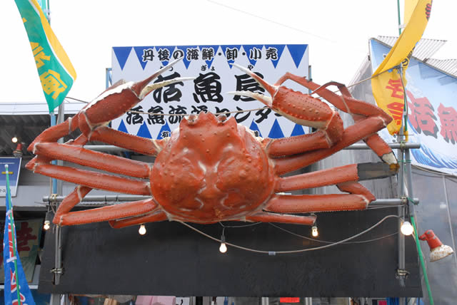 京都　丹後　間人（たいざ）がに 京前 平井活魚