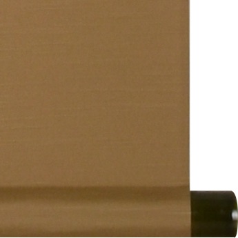 本金押箔 開運金龍