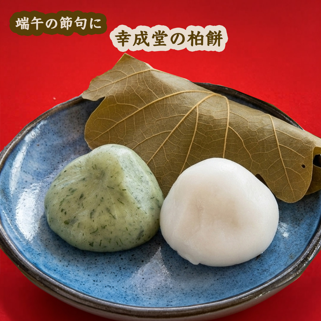 幸成堂の柏餅