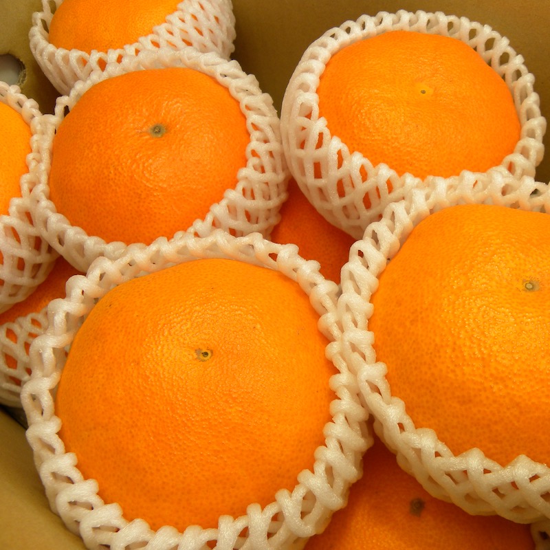 ミヤモトオレンジガーデンの甘平