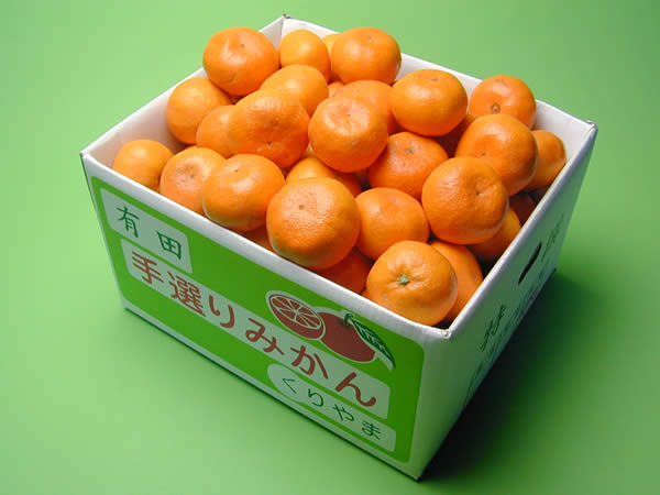 栗山園の有田みかん