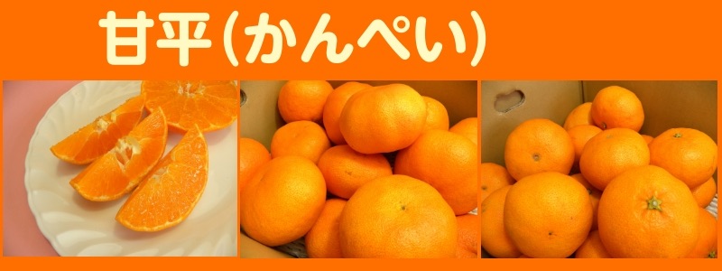 ミヤモトオレンジガーデンの甘平