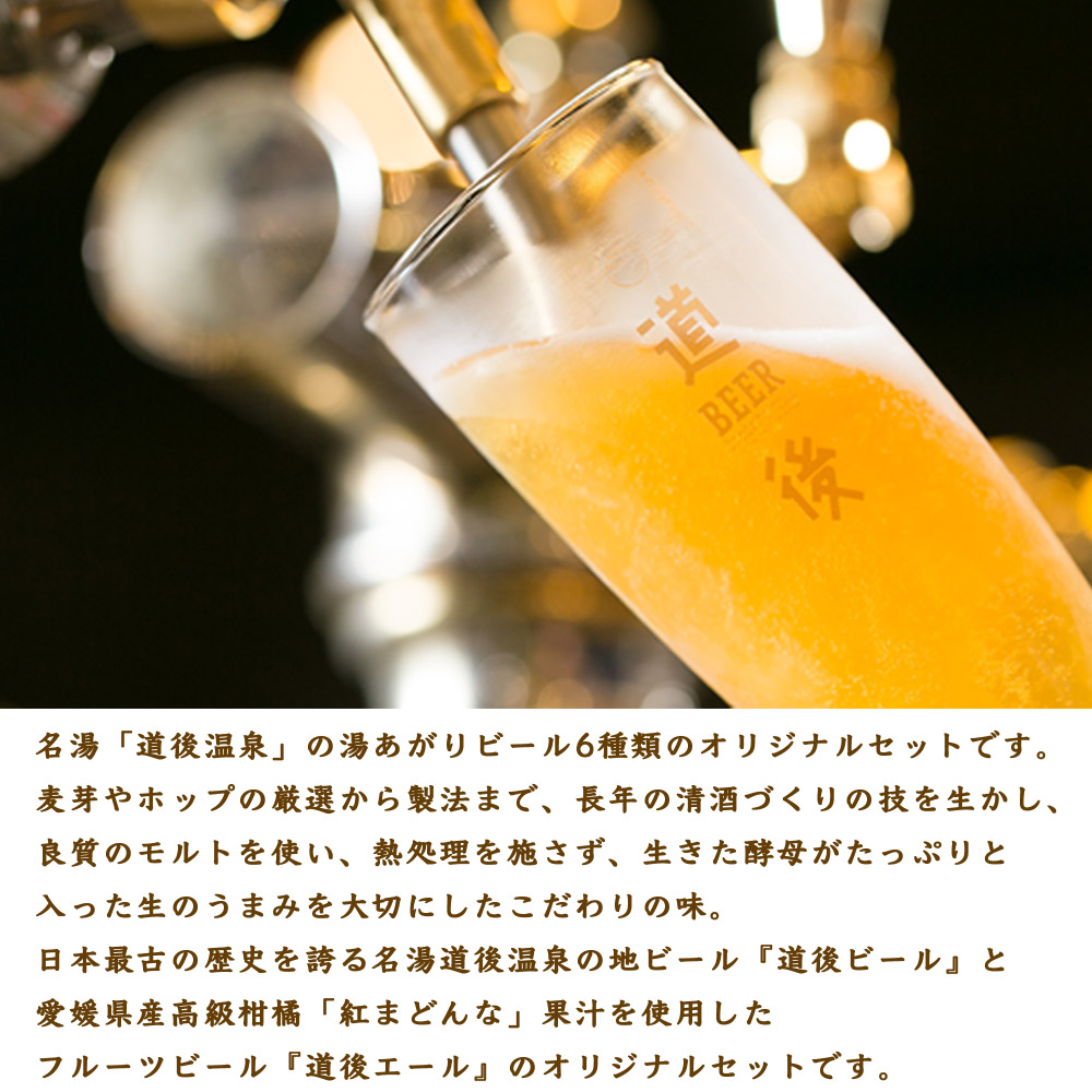 愛媛 松山 水口酒造 道後ビール・エール6本セット