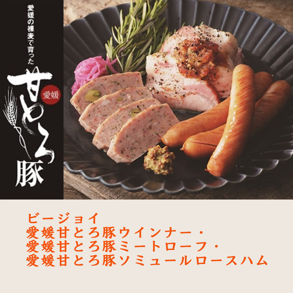 愛媛 松山 水口酒造 道後ビール・愛媛甘とろ豚ウインナーセット