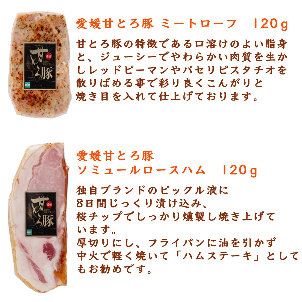 愛媛 松山 水口酒造 道後ビール・愛媛甘とろ豚ウインナーセット