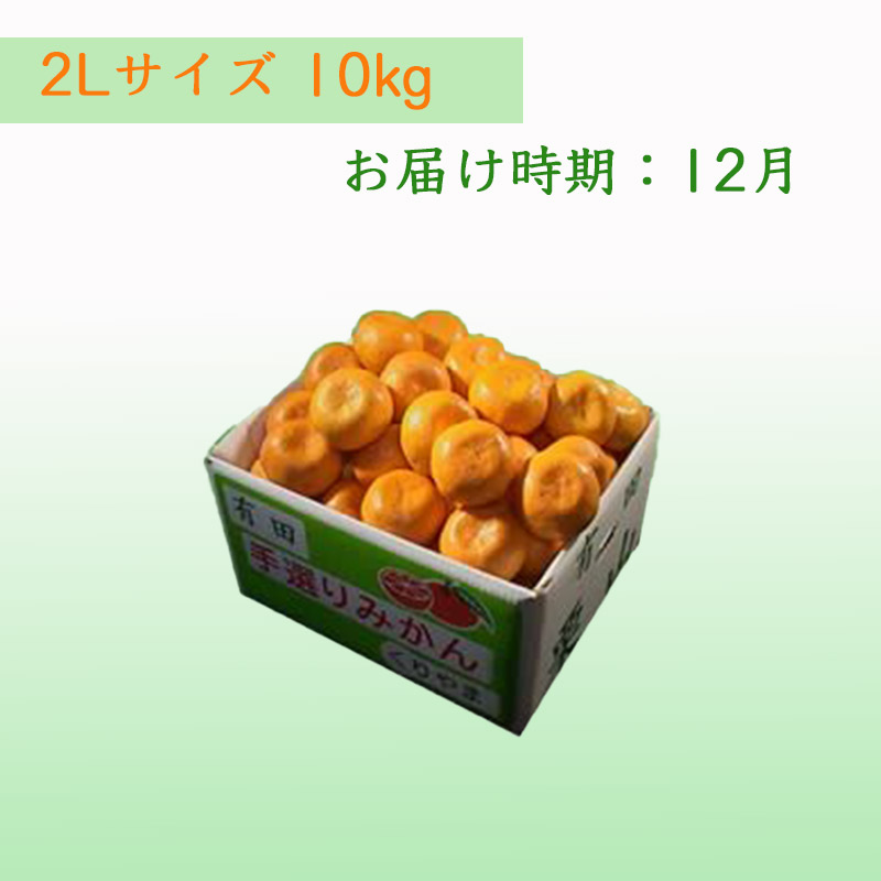 栗山園の有田みかん向山中生