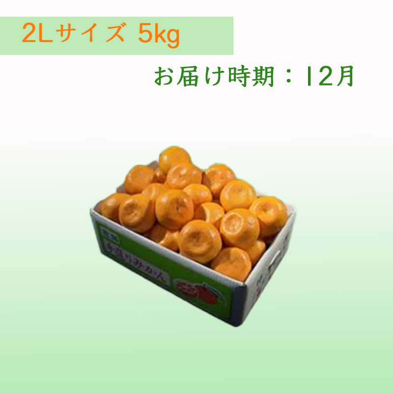 栗山園の有田みかん向山中生