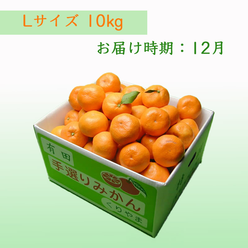 栗山園の有田みかん向山中生